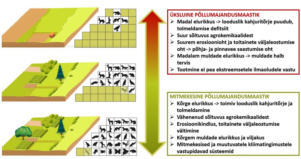 Loodushoidlik põllumajandus